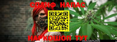 Альфа ПВП Можайск