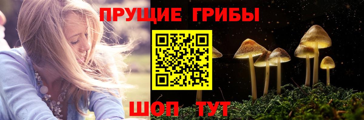Псилоцибиновые грибы Magic Shrooms  Галлюциногенные грибы MAGIC MUSHROOMS  наркошоп  Юрга  Вход с VPN 